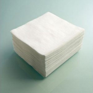 Cleanroom Wipes